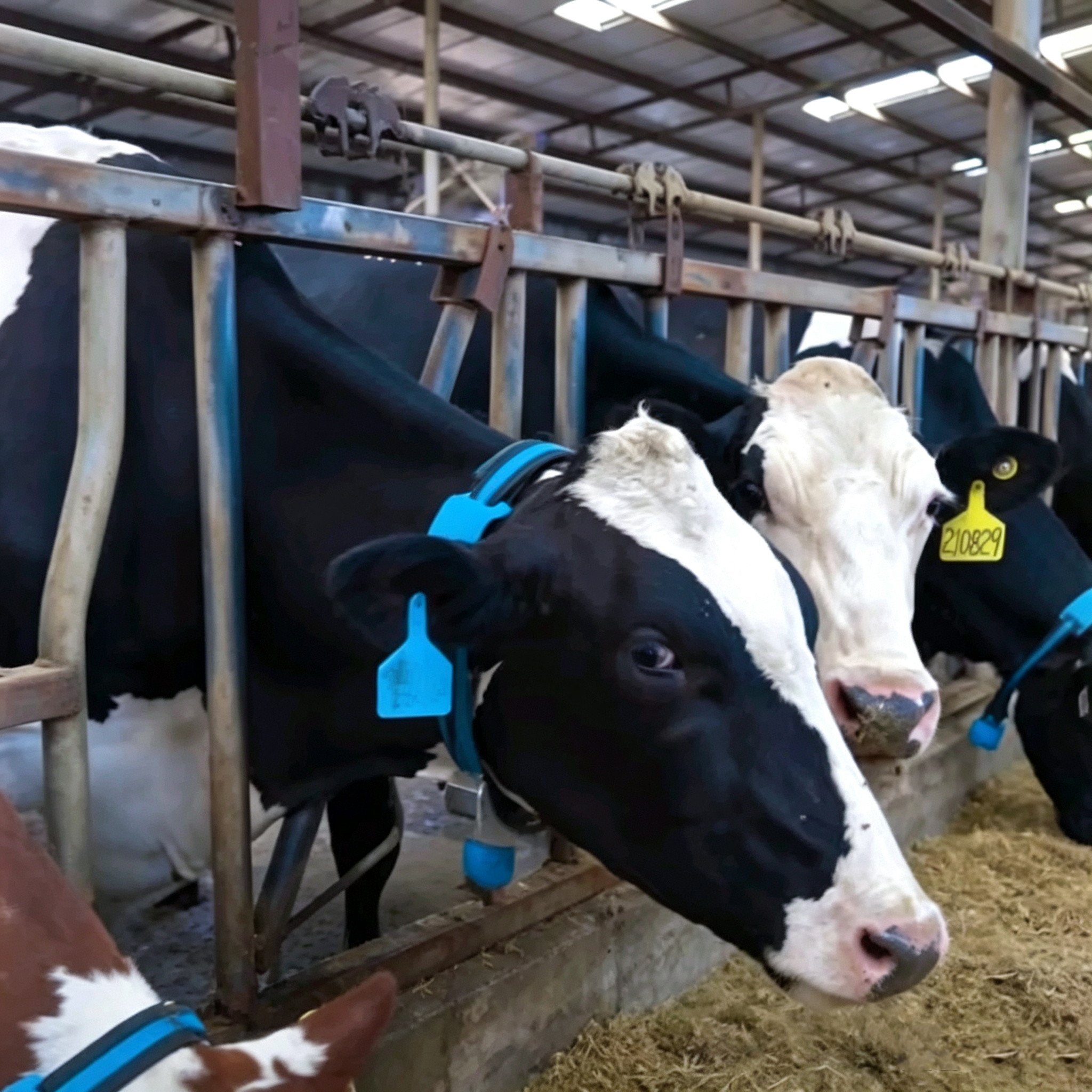 Sensors